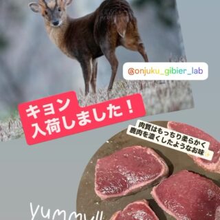 Instagram 更新！