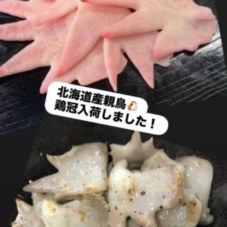 北海道産親鳥の鶏冠（とさか）🐓 一口かじ…