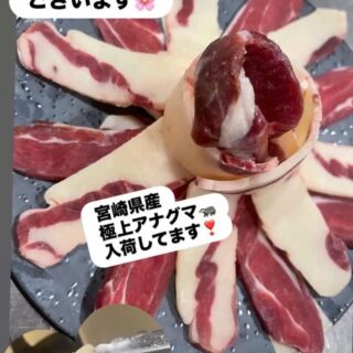 宮崎県産アナグマ🦡 入荷してます！ 脂身…
